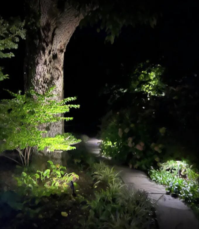 The Perfect Time to Illuminate: Why January is Ideal for Outdoor Lighting Planning in Virginia and D.C.